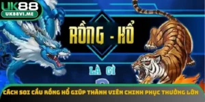 Cách Soi Cầu Rồng Hổ Giúp Thành Viên Chinh Phục Thưởng Lớn