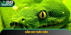 Nằm Mơ Thấy Rắn